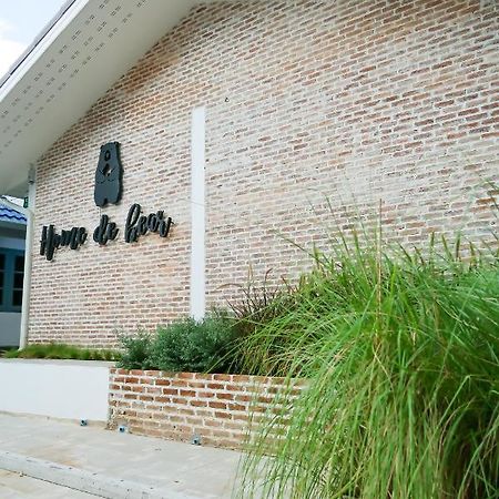 Home de Bear Chiang Mai Exterior foto